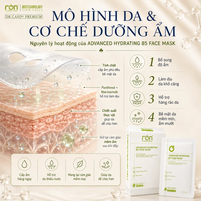 Mô hình da & cơ chế dưỡng ẩm